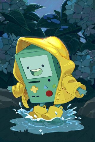 Bmo Puddles