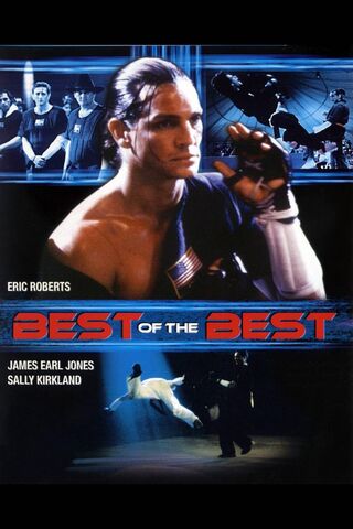 Ultimate Showdown: The Fight for Glory 🥋💥