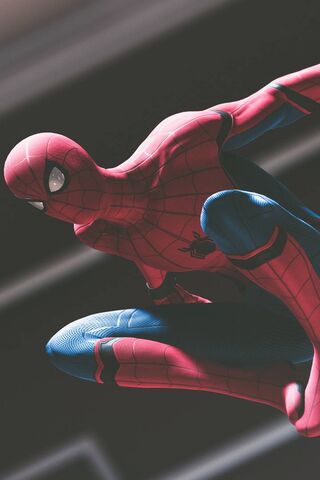 Web-Slinger in Action! ..