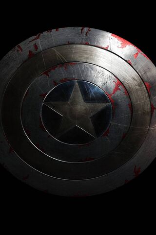 The Iconic Shield of Va..