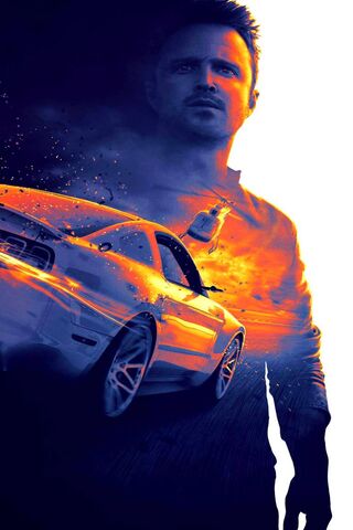 Racing Into the Horizon 🚗💨