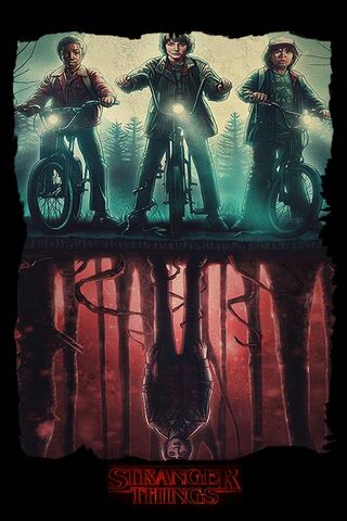 Adventures in the Upside Down 🌌🚲