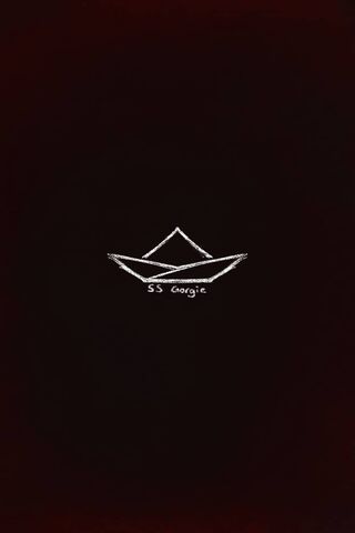 Sailing into the Unknown: SS Georgie