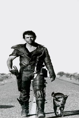 The True Survivor of the Wasteland 🌪️🐾