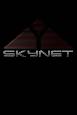 Skynet: The Rise of the Machines