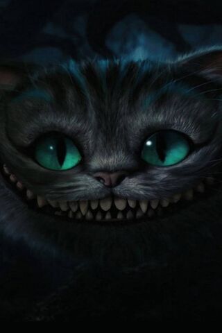 Smile Cat