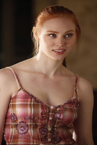 Mysteries of Bon Temps: A Glimpse into True Blood