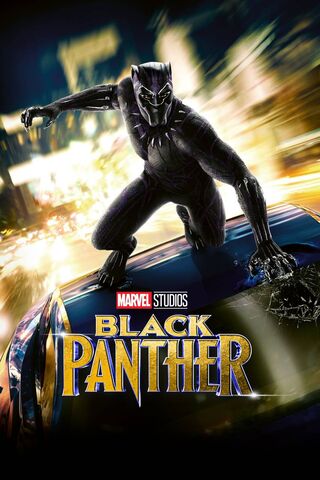 The Rise of Wakanda's H..