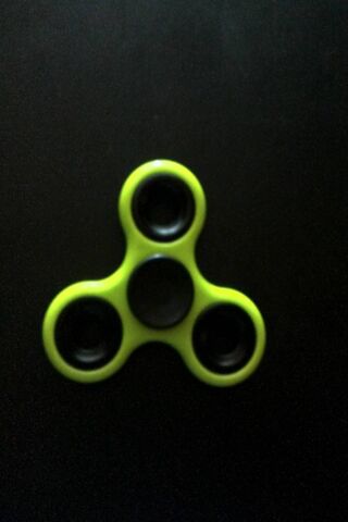 The Whirling Wonder: Spinner Fun! 🎡