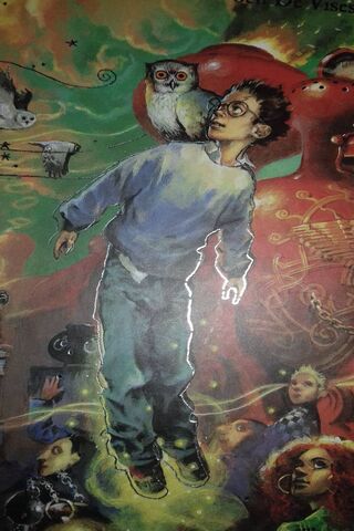 The Boy Who Lived: A Magical Journey Begins ✨🦉