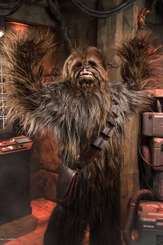 Chewbacca: The Legendary Wookiee Warrior 🐾✨