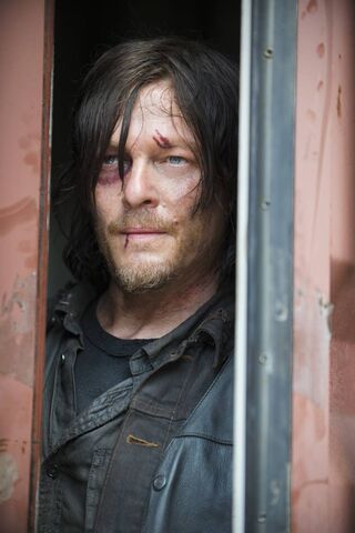 Survivor in the Shadows: Daryl Dixon