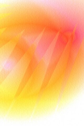 Radiant Dawn: Embracing the Sunlight