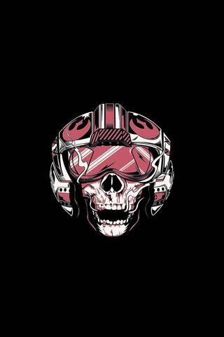 Skull Squadron: The Rebel Pilot's Emblem  ☠️✈️