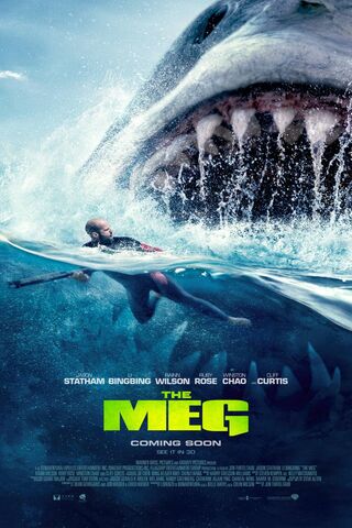 The Meg 3