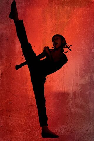 Karate Kid Wallpaper Download To Your Mobile From Phoneky