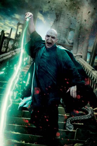 The Dark Lord's Fury ⚡️