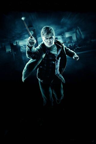 The Final Battle: Harry's Last Stand ⚡️