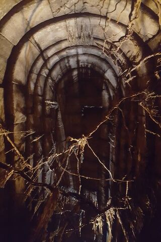 Secrets of the Ancient Temple 🏺✨