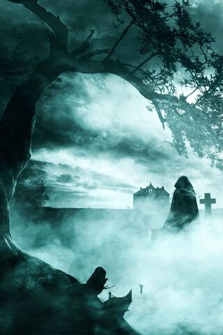 Haunted Graveyard Images  Browse 52819 Stock Photos Vectors and Video   Adobe Stock