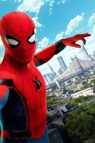 Web-Slinger in Action! ..