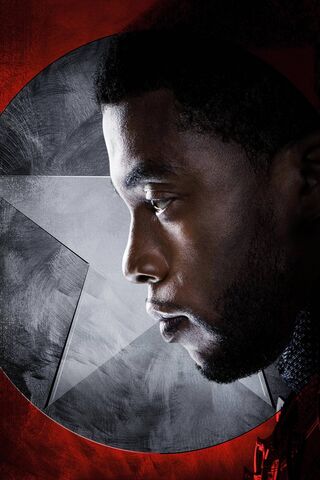 The Legacy of the Black Panther 🐾✨