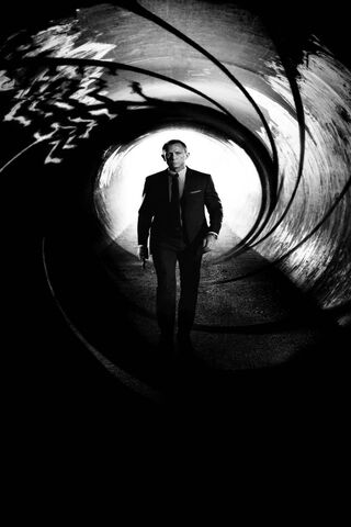 The Iconic Agent: A Walk Through Shadows