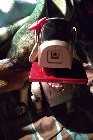 Its A Sony