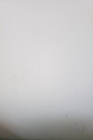 The Enigmatic Miitopia Marsh: A Blank Canvas of Adventure