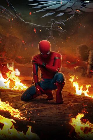 Web of Courage: Spider-..