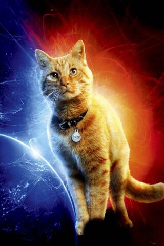 Flerken Fury: The Cosmi..