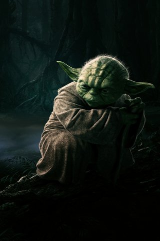 Wisdom of the Force: Yo..