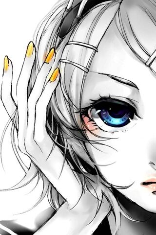 Whispers of the Chou: A Glimpse into Elegance