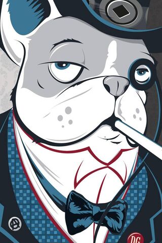 Dorian's Elegance: A Stylish Canine