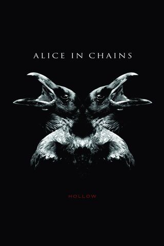 Echoes of Darkness: The Hollow Connection