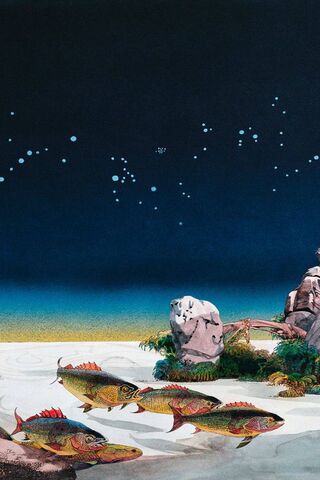 Topographic Oceans