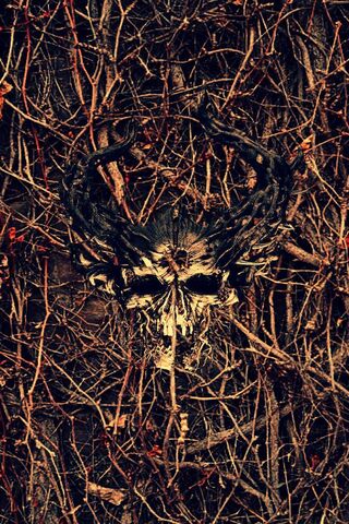 Veil of Shadows: The Demon Hunter's Emblem