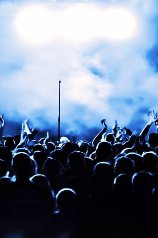 Echoes of the Night: Dg Concert Vibes 🎶✨