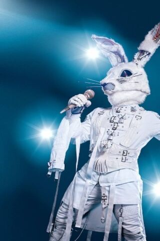 The Enigmatic Rabbit Takes the Stage! 🎤🐰