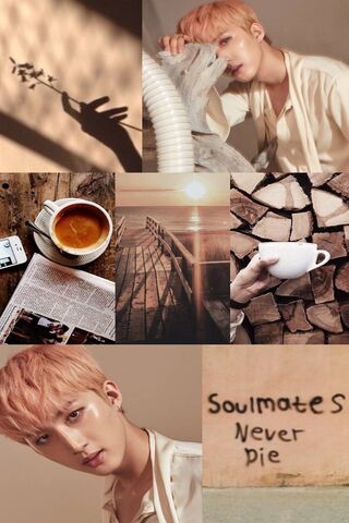 Hui Esthetic: A Journey Through Serenity 🌅✨