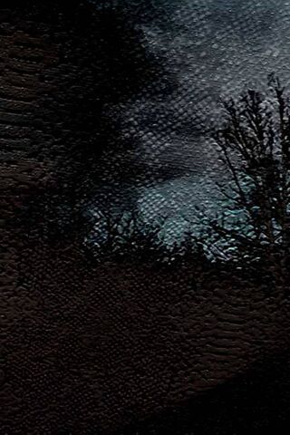 Mysteries of the Ophidian Forest 🌲🐍