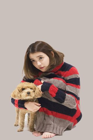 Iu 107 Poodle Wallpaper - Download to your mobile from PHONEKY