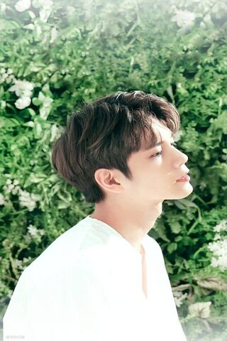 Nature's Muse: Wn Ong Seongwoo in Bloom 🌿✨