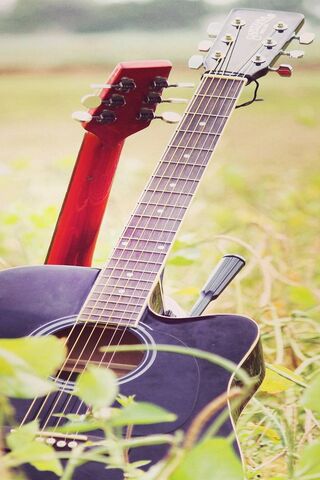 Strings of Serenity 🎶