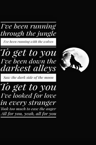 Running with the Wolves 🌕🐺