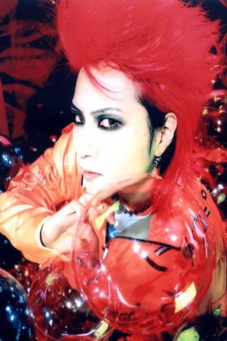 Hide