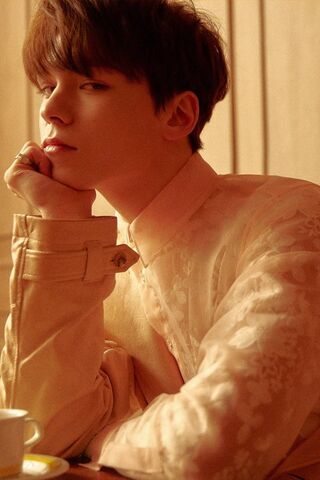 Seventeen's Charismatic Charm ✨