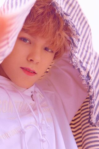 Seventeen's Dreamy Vibes 🌟