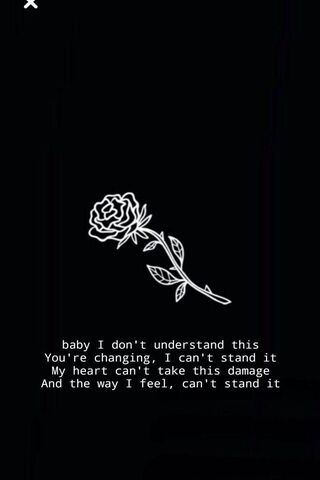 Heartfelt Reflections 🌹