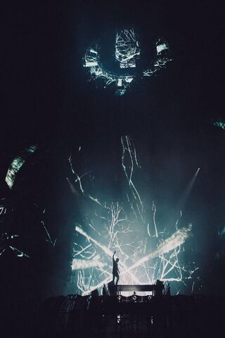 Electric Vibes: The Martingarrix Experience ⚡🎶